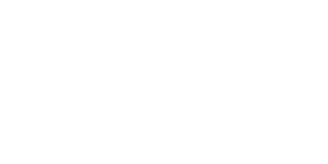 beechcraft.webp